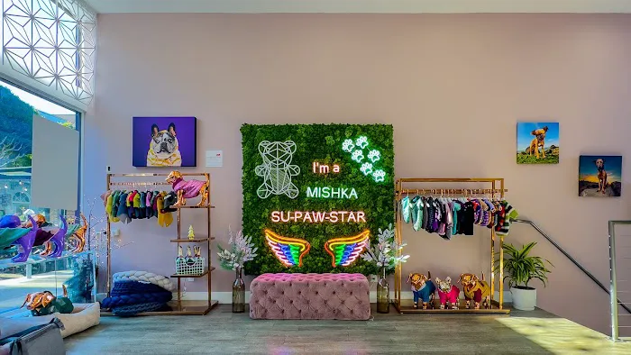 Mishka Dog Boutique Picture 10