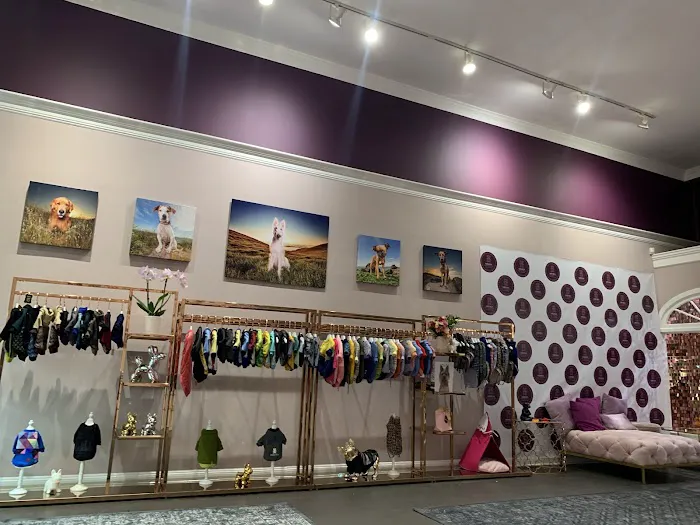 Mishka Dog Boutique Picture 8
