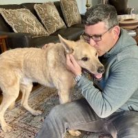 Senior Pet Vet ico