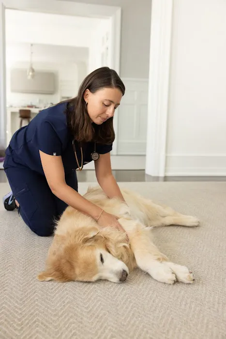Senior Pet Vet Picture 4