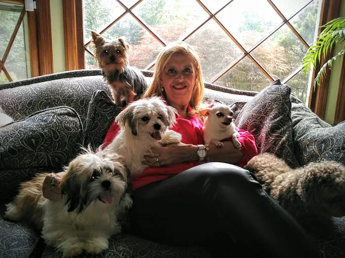 Dr Rivero Rita DVM - Demarest Veterinarian Picture 3
