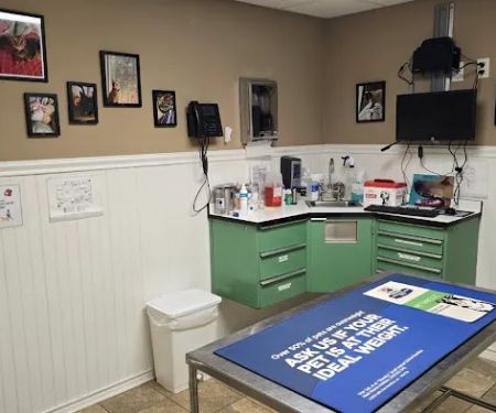 Closter Animal Hospital