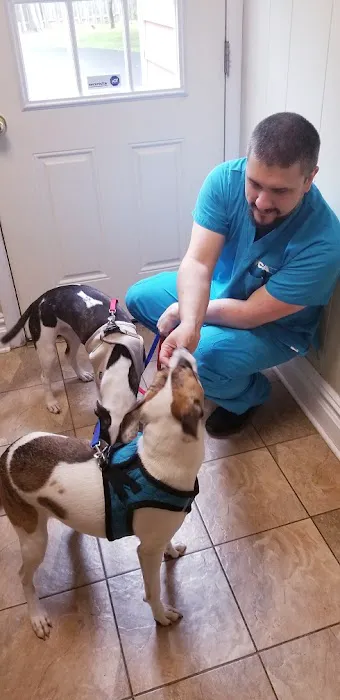 Closter Animal Hospital Picture 6