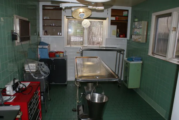 Closter Animal Hospital Picture 5