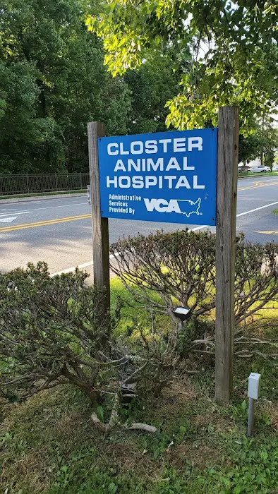 Closter Animal Hospital Picture 10