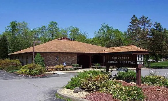 Community Animal Care Picture 4