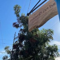 maxwell's pet bar ico