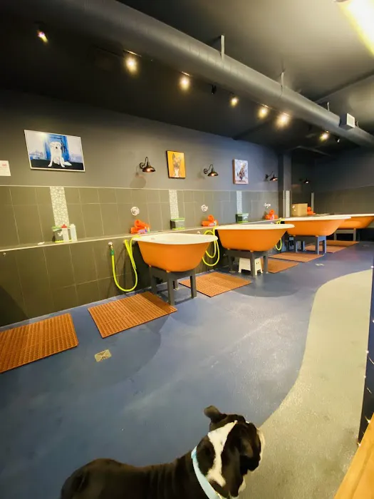maxwell's pet bar Picture 3