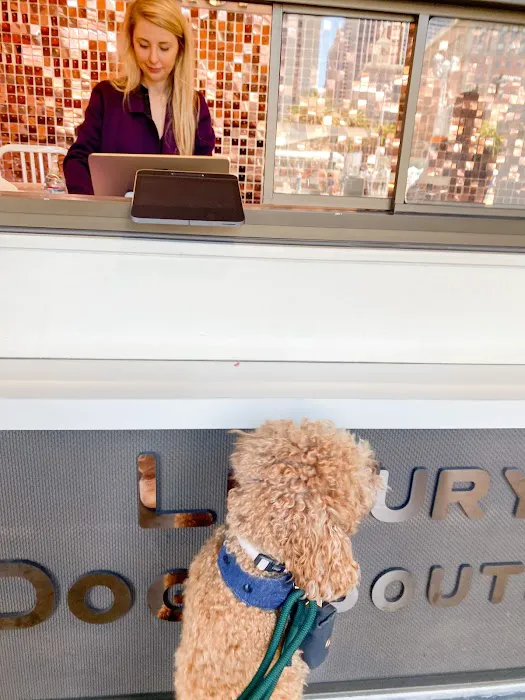 Mishka Dog Boutique (Ferry Building) Picture 1