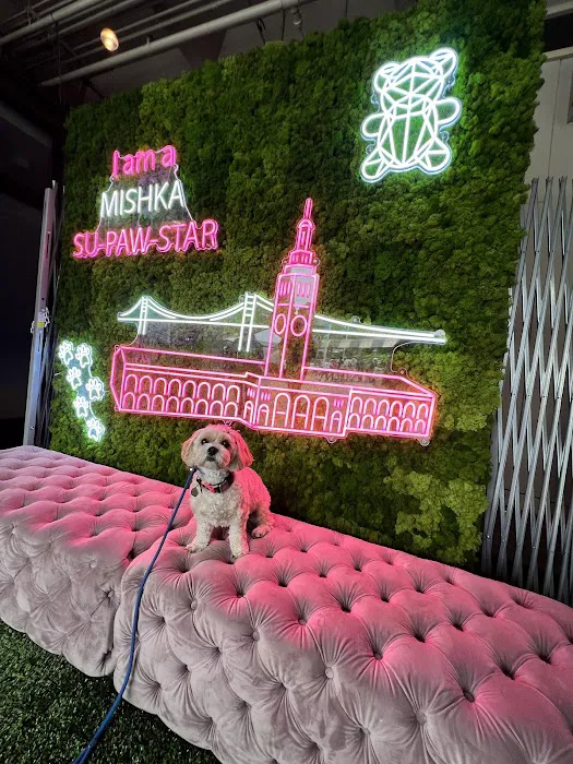 Mishka Dog Boutique (Ferry Building) Picture 10