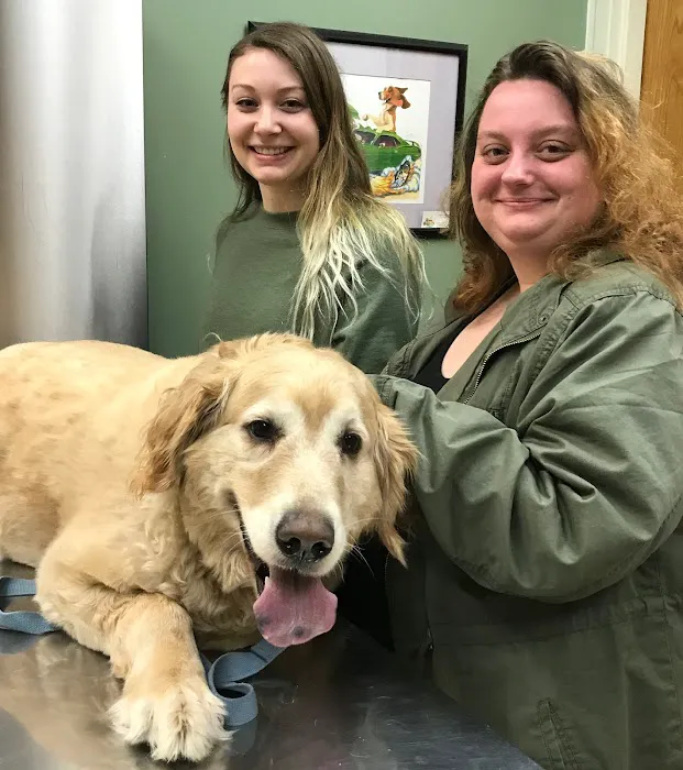 Airport Veterinary Center Picture 1