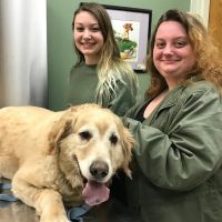 Airport Veterinary Center ico