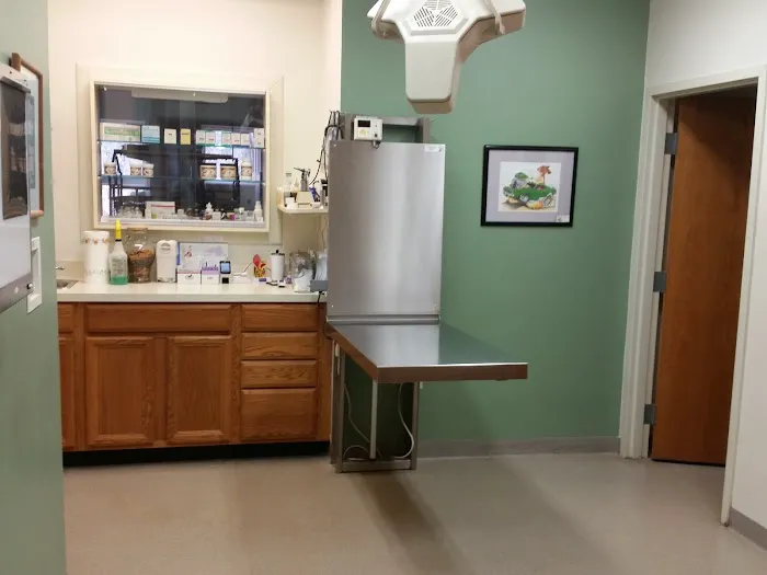 Airport Veterinary Center Picture 4