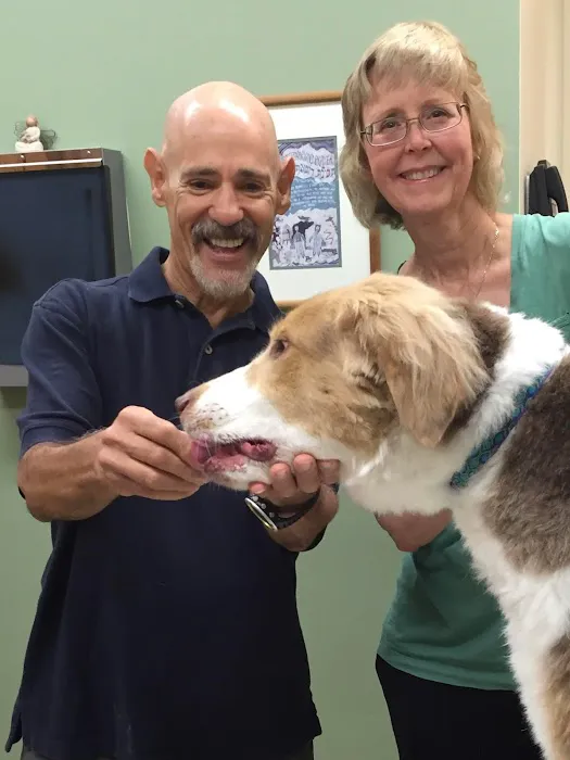Airport Veterinary Center Picture 2