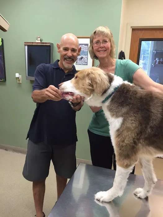 Airport Veterinary Center Picture 7