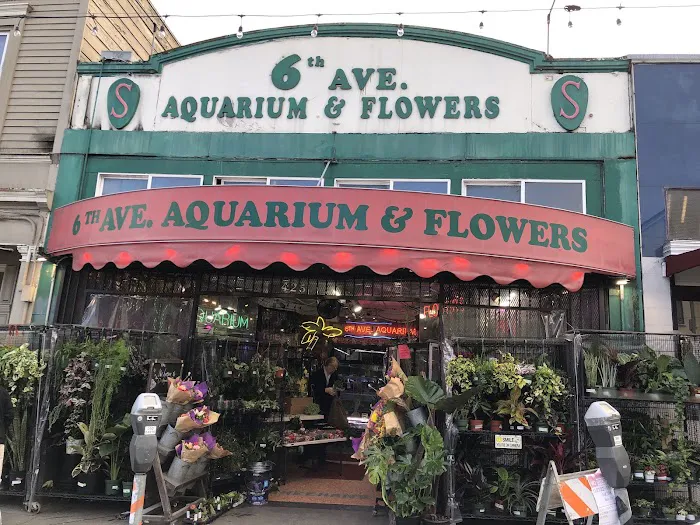 6th Avenue Aquarium Picture 1