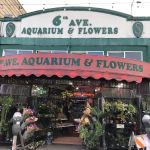6th Avenue Aquarium