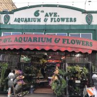 6th Avenue Aquarium ico