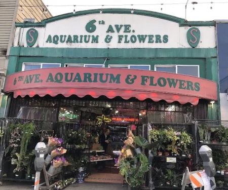 6th Avenue Aquarium