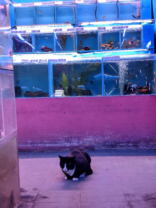 6th Avenue Aquarium Picture 3