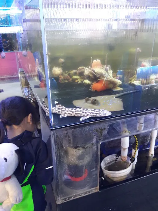 6th Avenue Aquarium Picture 2