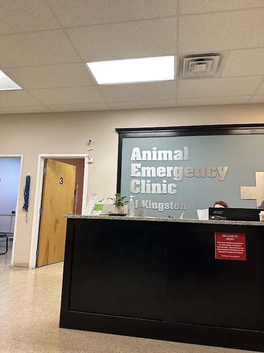 Animal Emergency Clinic of The Hudson Valley Picture 5