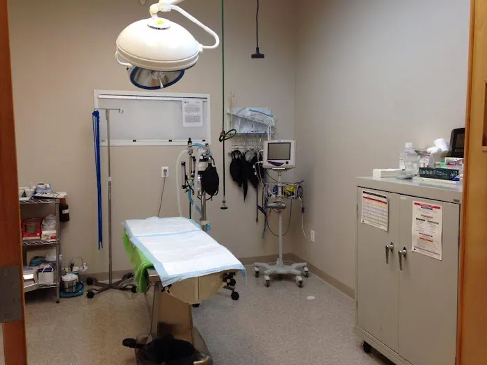 Animal Emergency Clinic of The Hudson Valley Picture 7