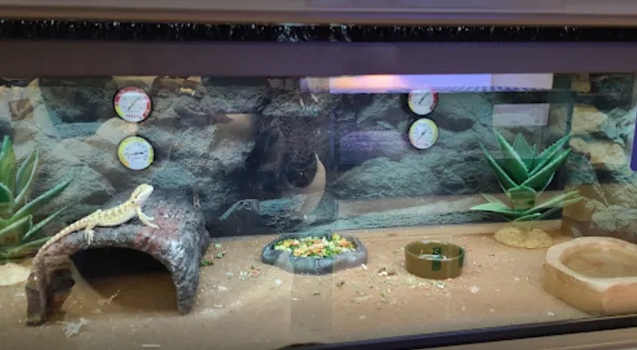 Petco Picture 10