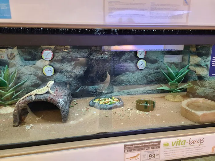 Petco Picture 5