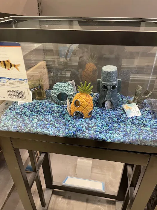 Petco Picture 7