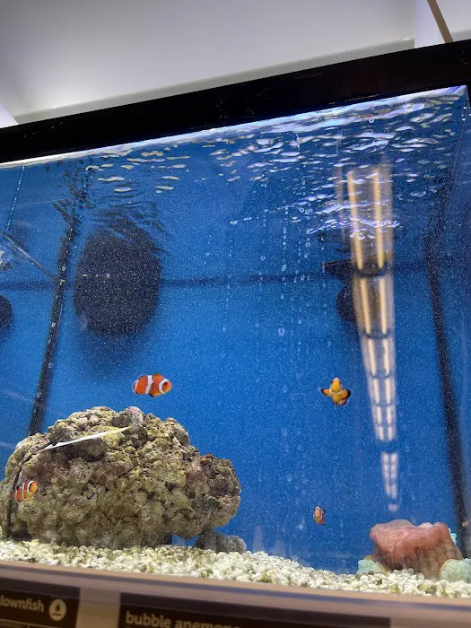 Petco Picture 2