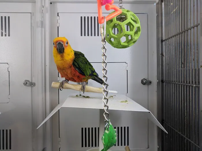 Petco Picture 3