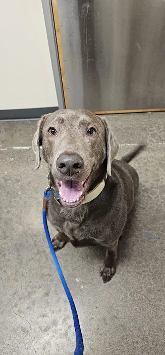 Vetco Total Care Animal Hospital Picture 2
