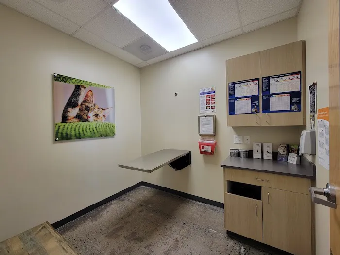 Vetco Total Care Animal Hospital Picture 1