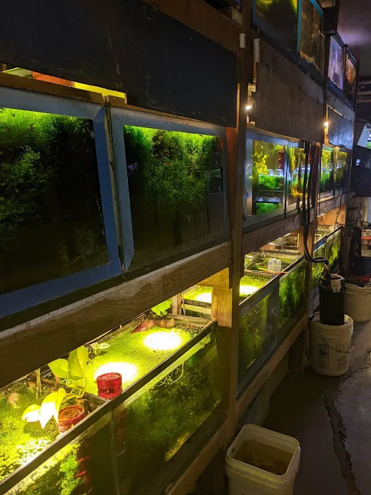 Ocean Aquarium Picture 5