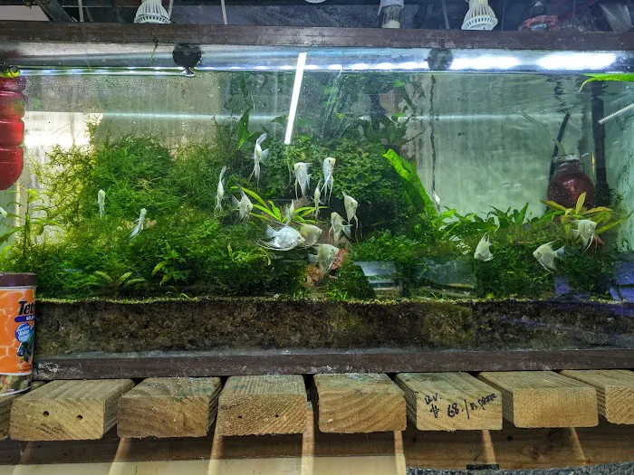 Ocean Aquarium Picture 10