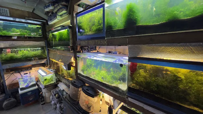 Ocean Aquarium Picture 9