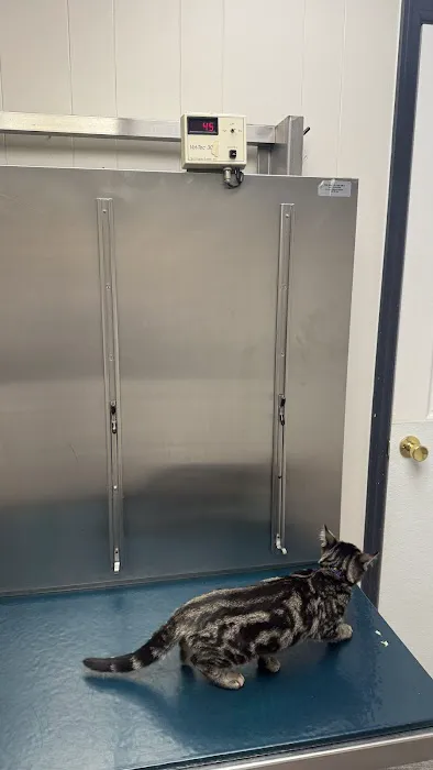 Lake Katrine Animal Hospital Picture 2