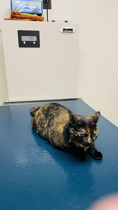 Lake Katrine Animal Hospital Picture 1