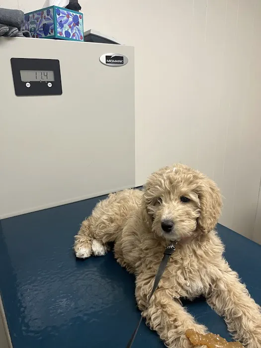 Lake Katrine Animal Hospital Picture 5