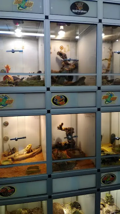 Pet Central SF Picture 1