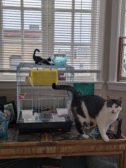Pet Central SF Picture 2