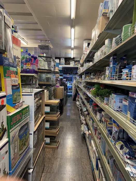 Pet Central SF Picture 7