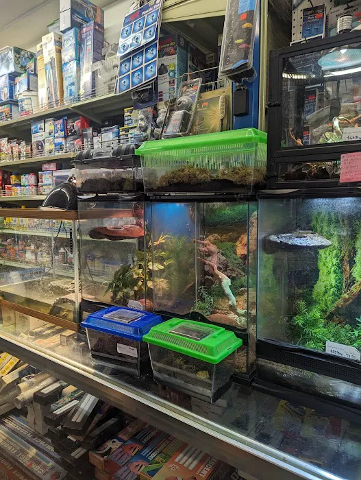Pet Central SF Picture 5
