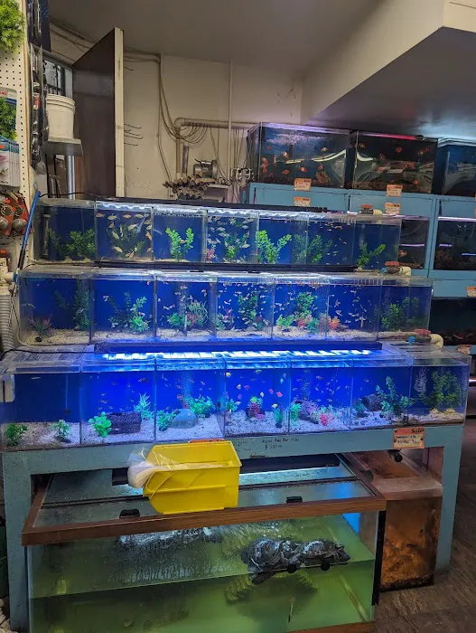 Pet Central SF Picture 6