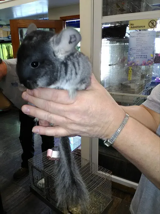 Pet Central SF Picture 8