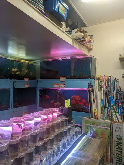 Pet Central SF Picture 9