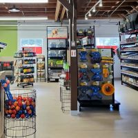 Pet Food Express ico