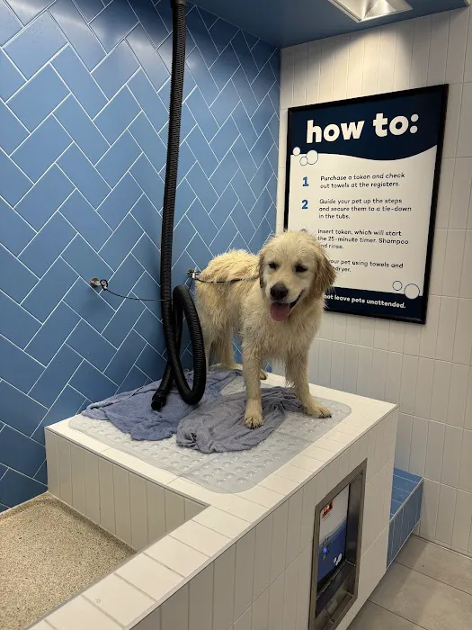 Pet Food Express Picture 7