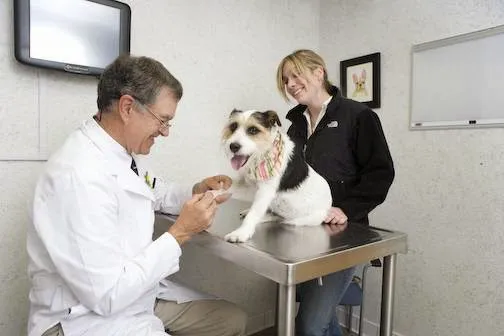 Rhinebeck Animal Hospital Picture 1